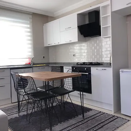 Apartamento Coskunsu Homes *
